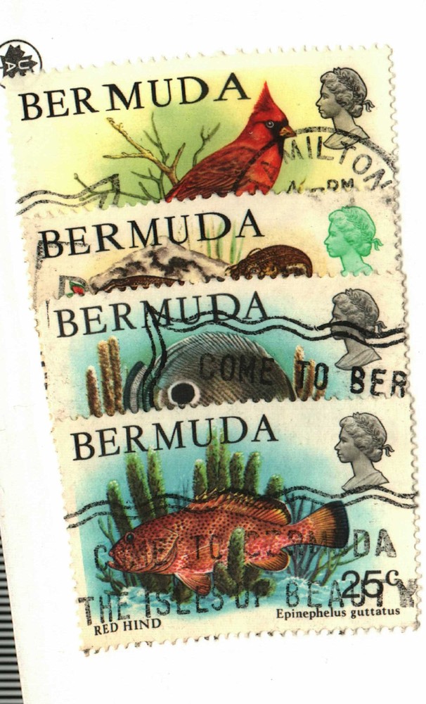Bermuda #364, 370-2 used birds, fish