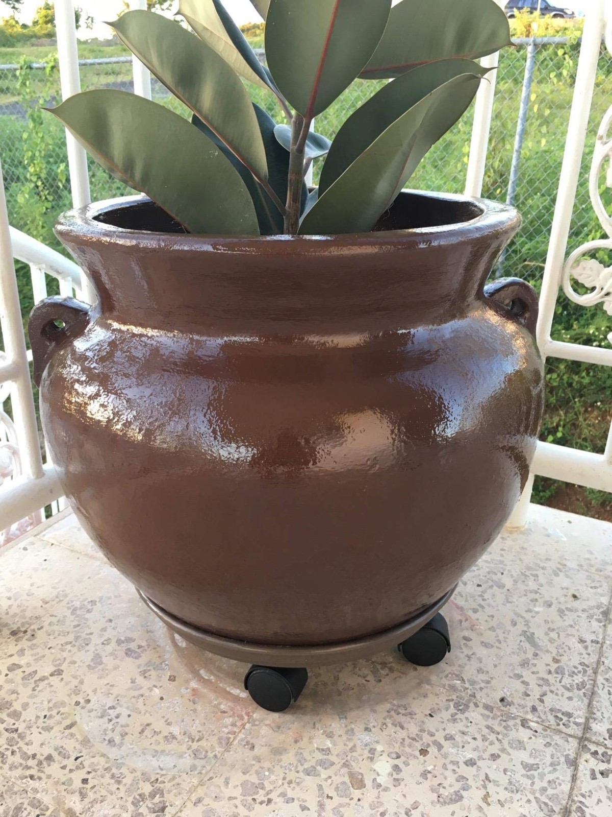 Plant Caddy with Wheels 15.5 Inch - 2 Pack Plant Caddy on Wheels Heavy Duty,P...