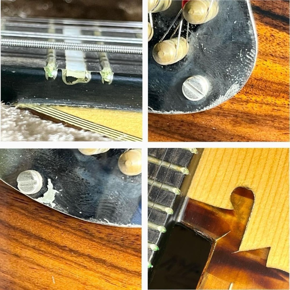Mandolin Raffaele Calace Type15 raffaele calace