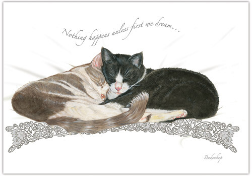 Cats Yin and Yang Blank Note Cards Boxed