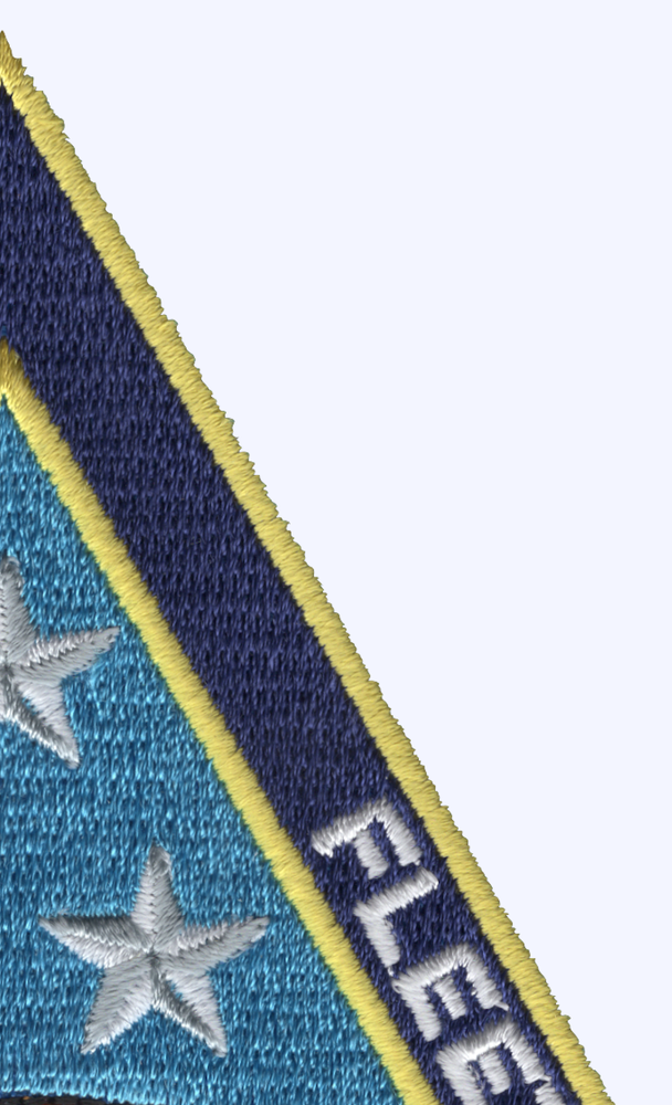 Naval Air Force - Pacific Fleet Patch