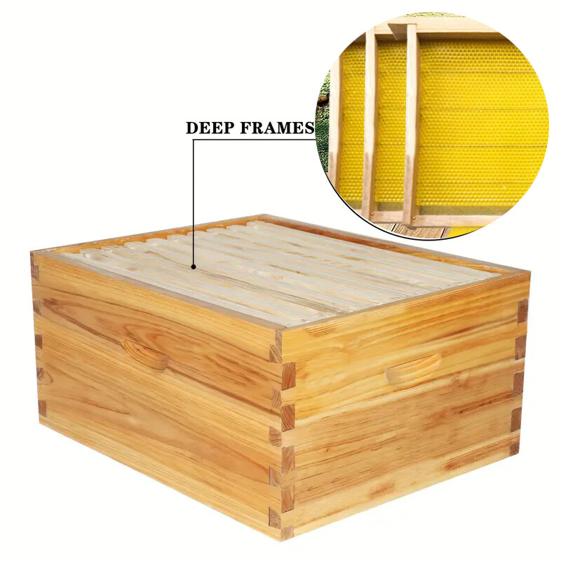 20PCS Bee Wax Foundation Hive Frames Foundation Deep Comb Bee Hive With Wire