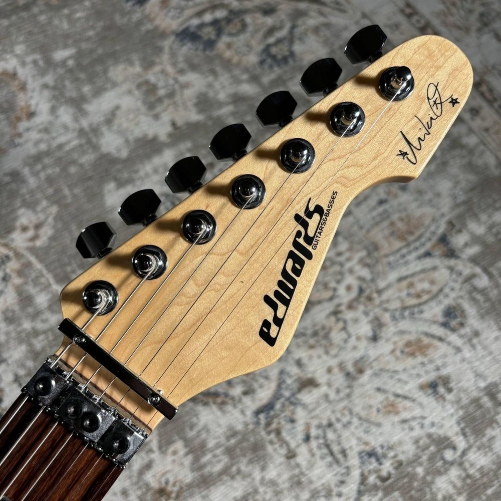 EDWARDS E-SNAPPER-7 Fuji Electric Gutiar [AUTH]