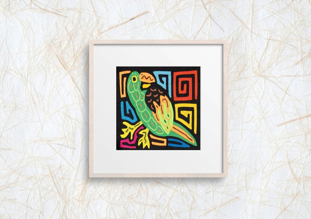 Green Parrot Bird Molita