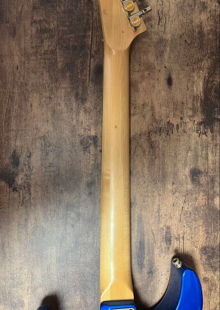 ESP Guitar Gig Bag Strap Safe Packing!