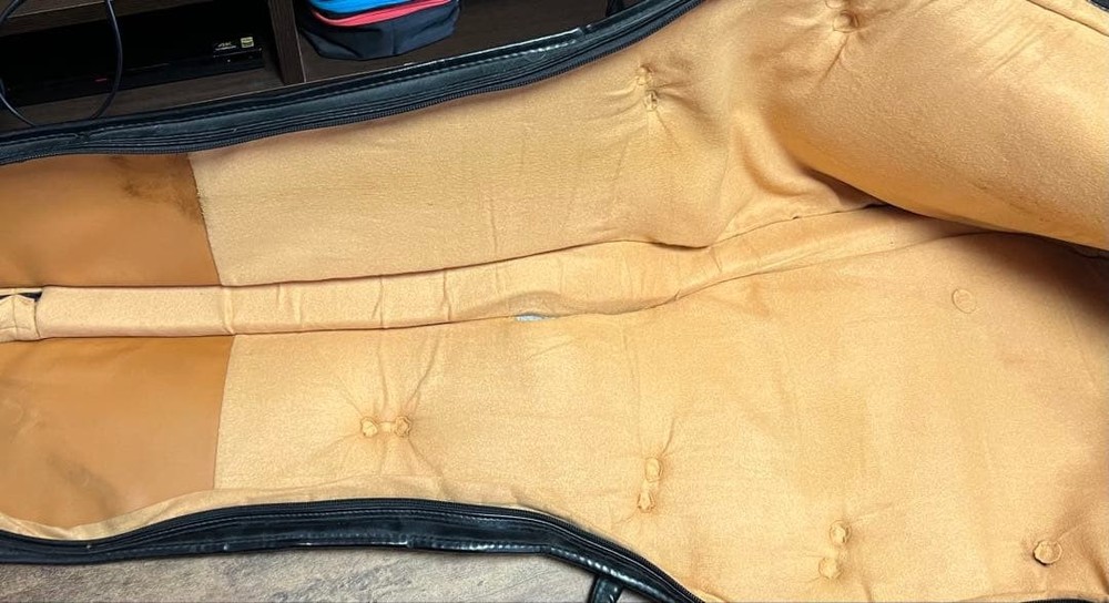 ESP Guitar Gig Bag Strap Safe Packing!