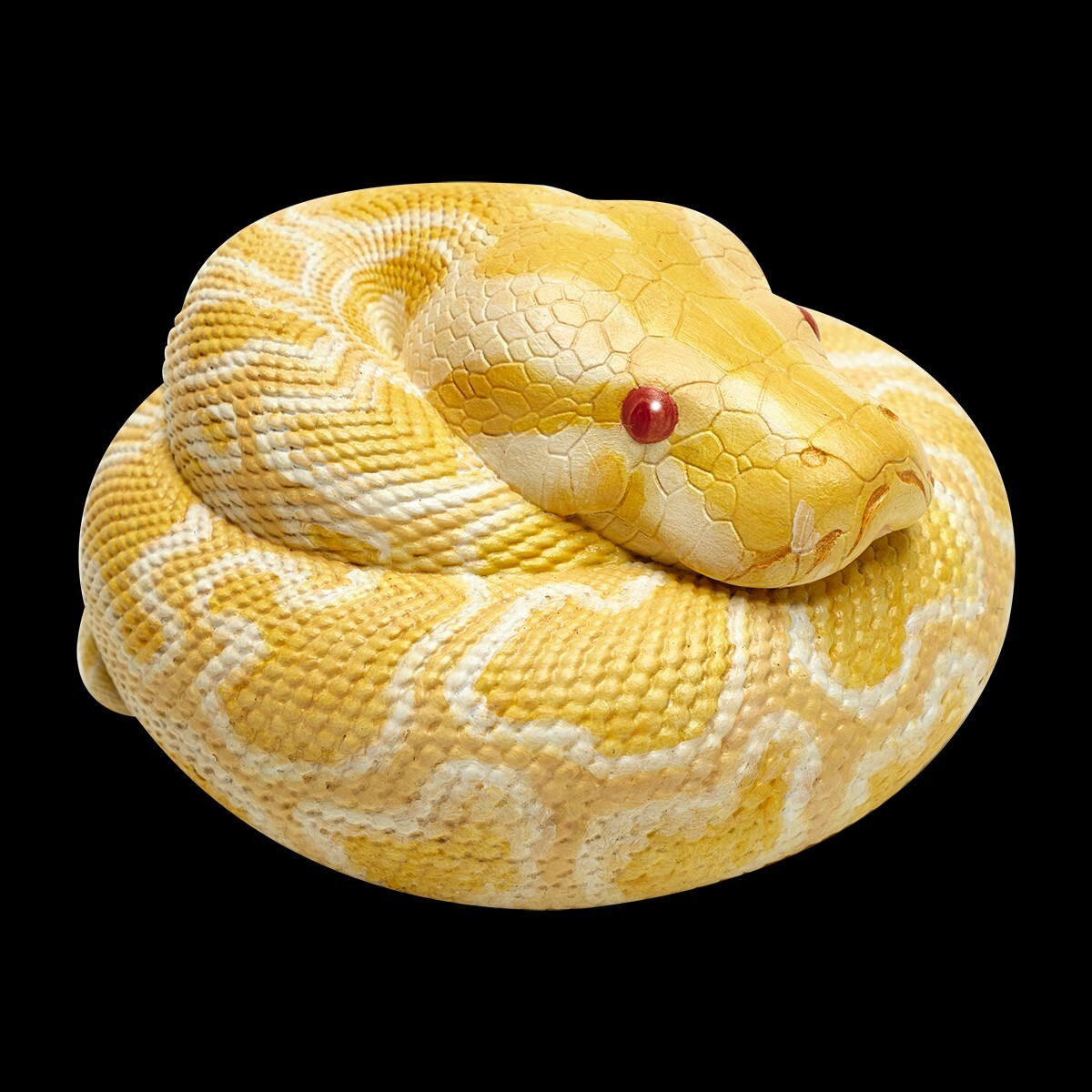 【In-Stock】 Animal Heavenly Body Albino Burmese Python molurus Snake Statue