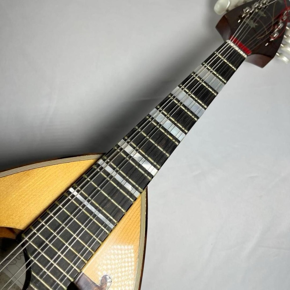 Mandolin Raffaele Calace Type15 raffaele calace