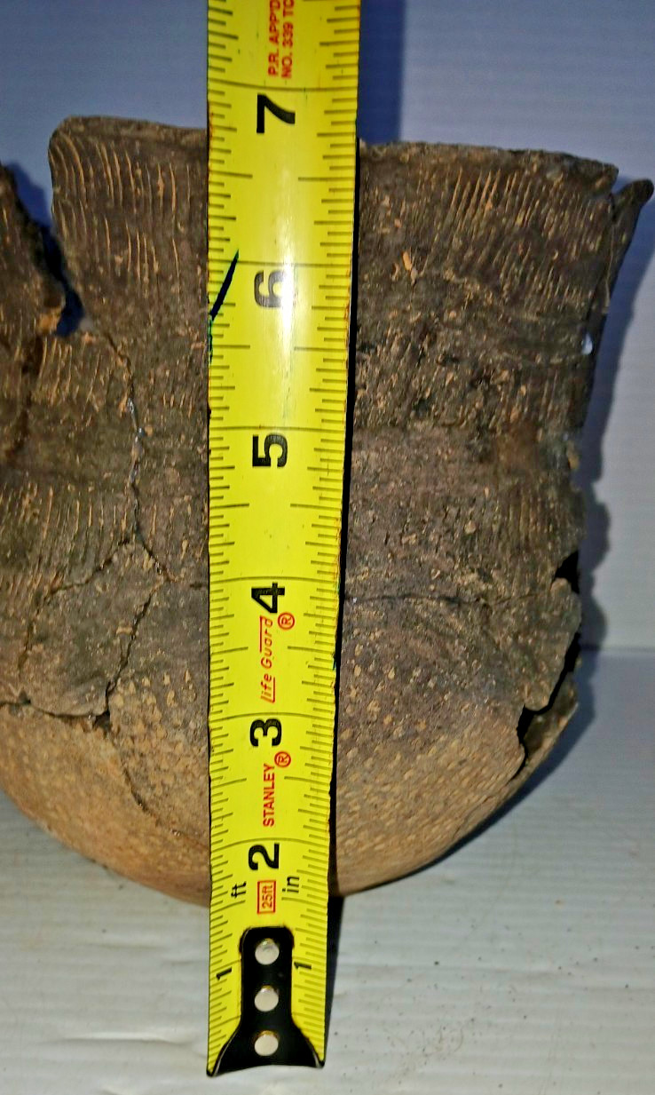 Pre-Columbian Native American Indian Mississippian Partial Pottery Jar Artifact