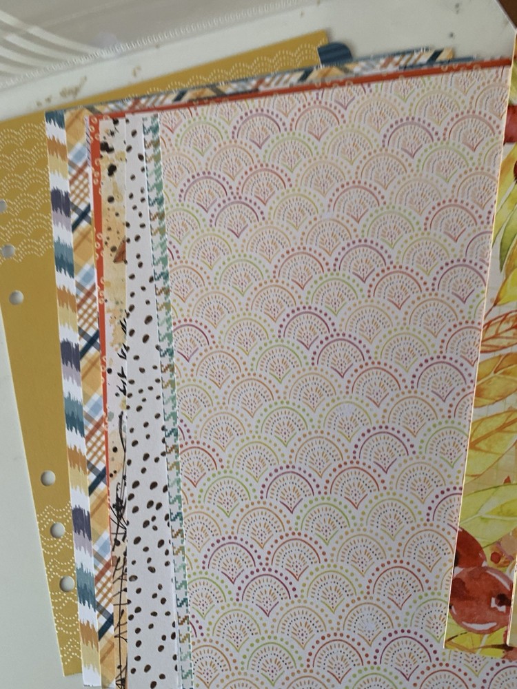 Cocoa Daisy Planner Scrapbook Accessories As Pictured Used