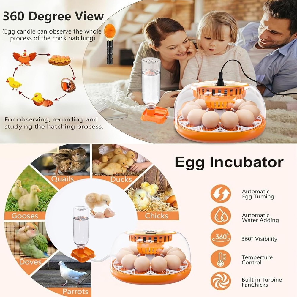 12 Egg Incubator with Automatic Egg Turning and Temperature Control, Automati...
