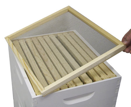 Ventilated Screened Inner Cover for 8 Frame Hive Langstroth Beehive