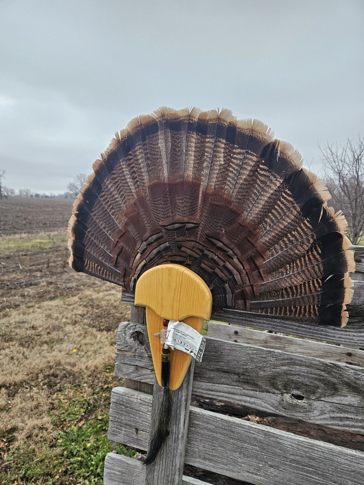 Turkey Fan and Beard Plaque Mount