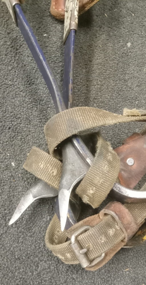 arborist tree climbing spikes-with Pads/straps