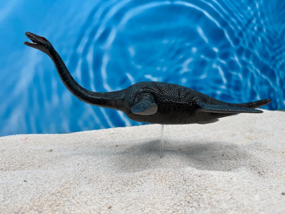 Plesiosaur