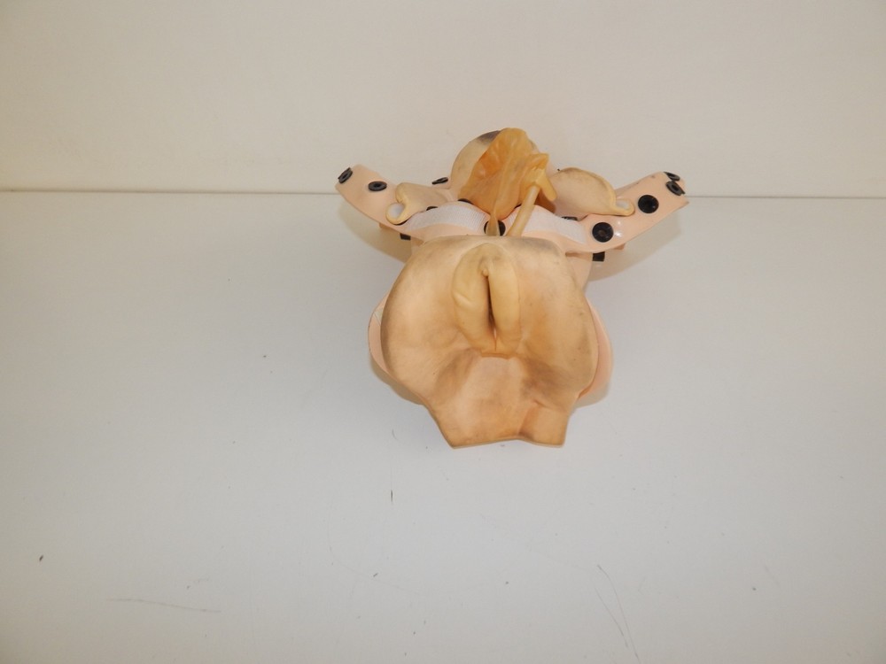 ^^ LIFEFORM FEMALE REPRODUCTIVE MODEL (EQX82)
