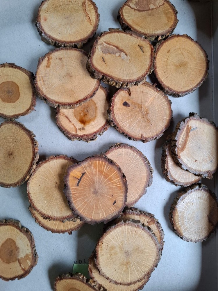 Wooden Coasters
