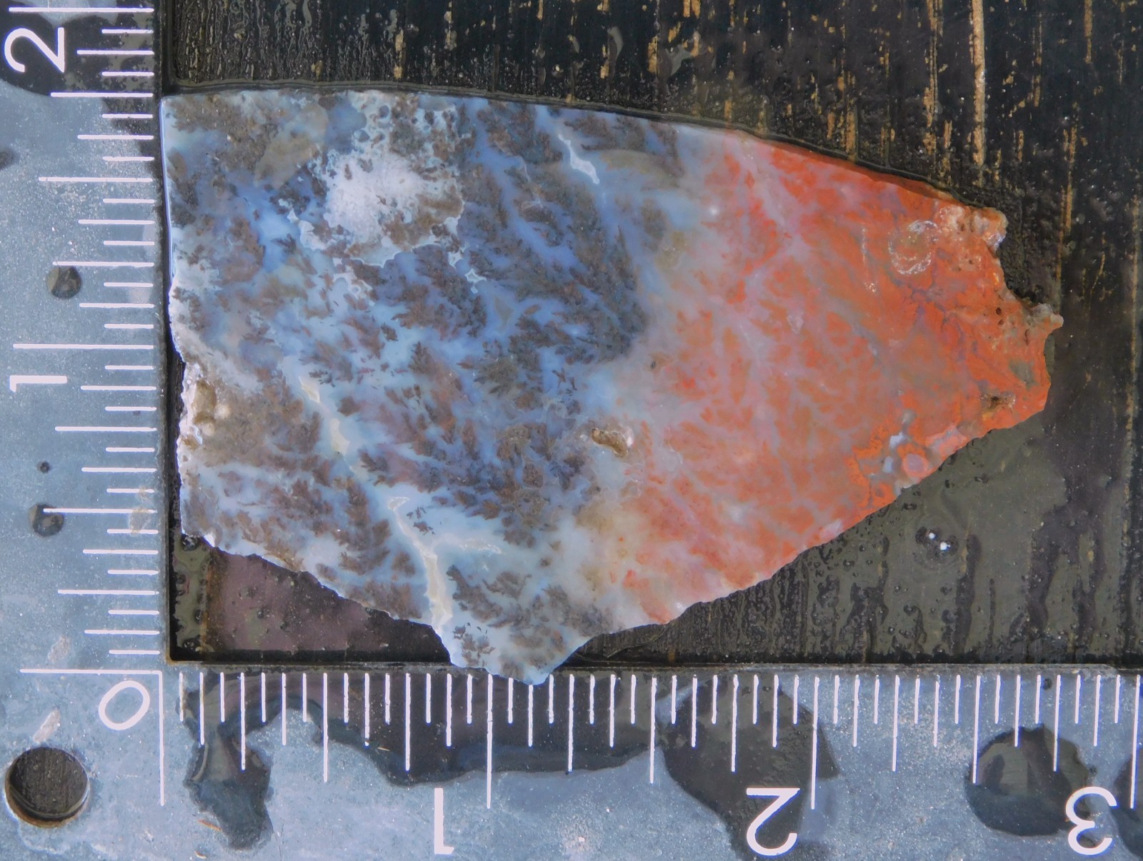 Woodward Ranch Plume Agate lapidary cabbing slab from Texas 4mm thick