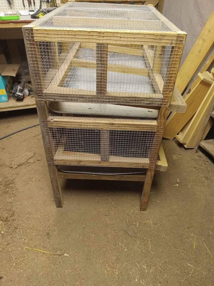 Double Decker Quail Hotel