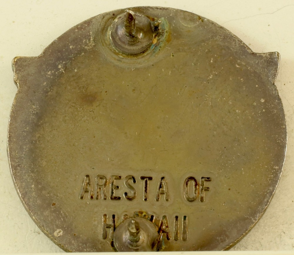 10th Fighter Wing Crest DI/DUI CB Aresta HM