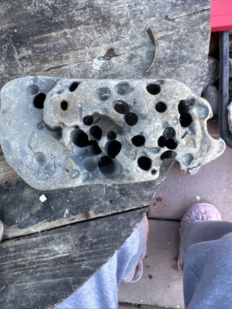 Natural Hag Stone