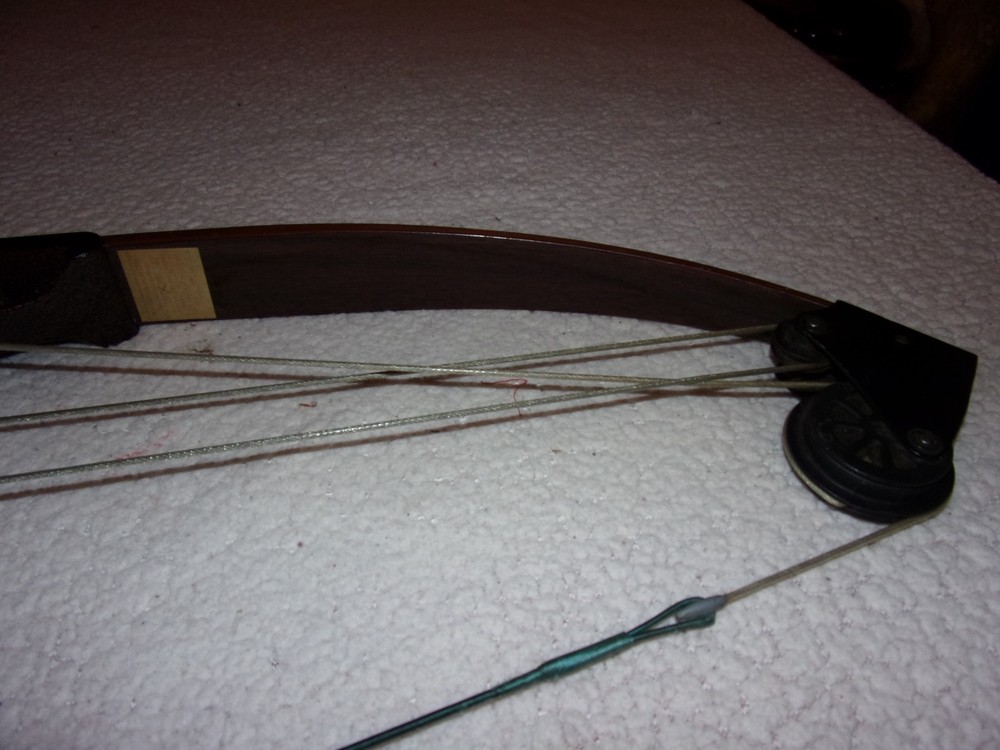 Bear Whitetail Hunter Compound Bow SEE DESCRIPTION