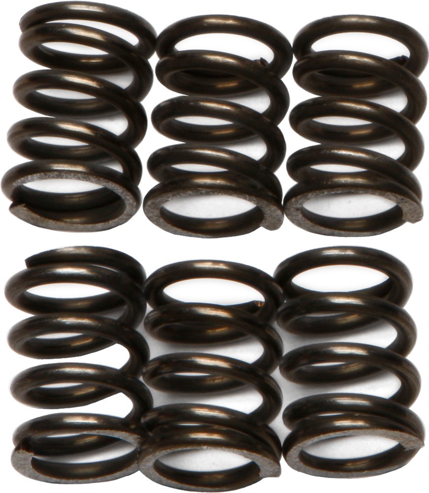 EBC CSK72 CLUTCH SPRING KIT