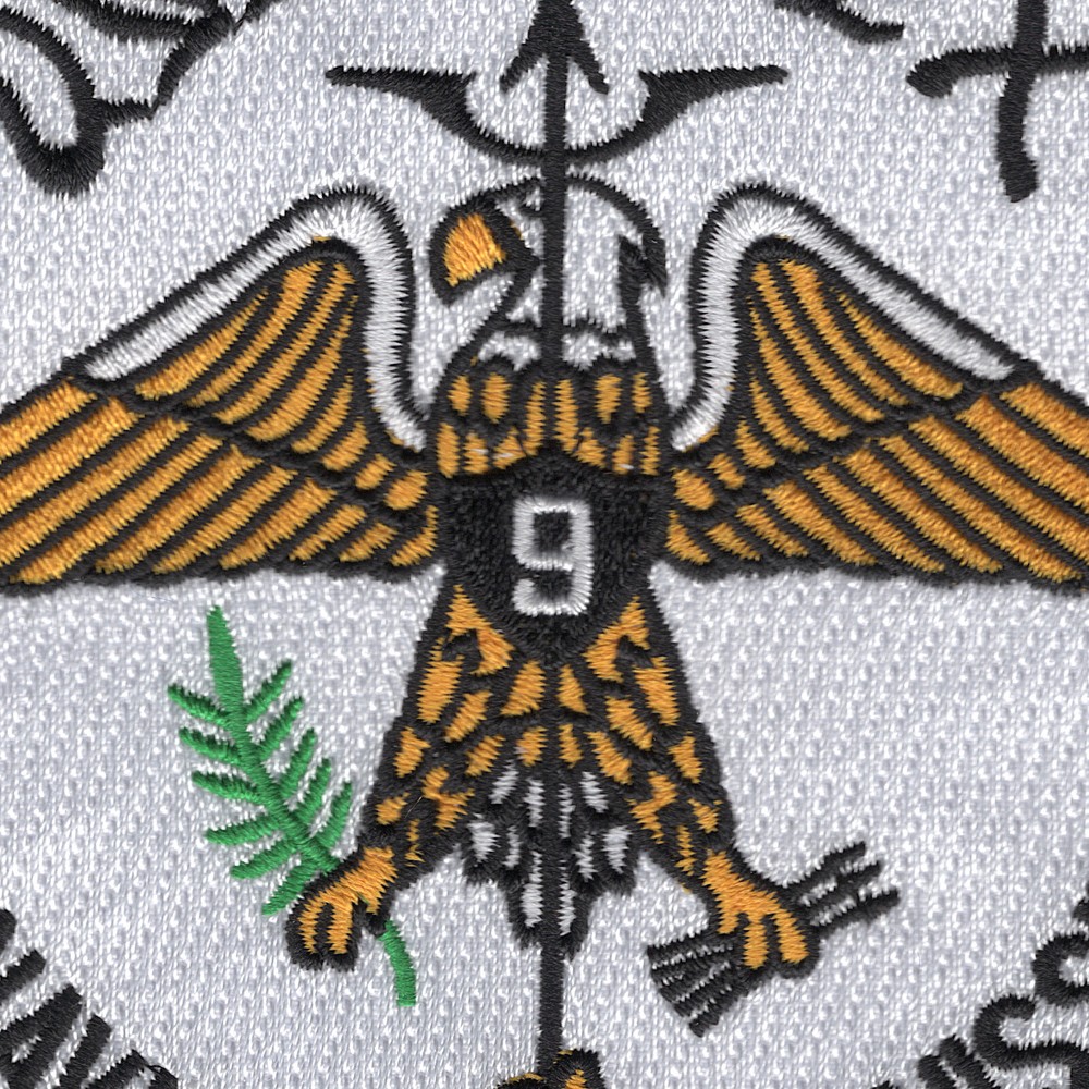 USS Essex CV-9 CVA-9 CVS-9 Patch