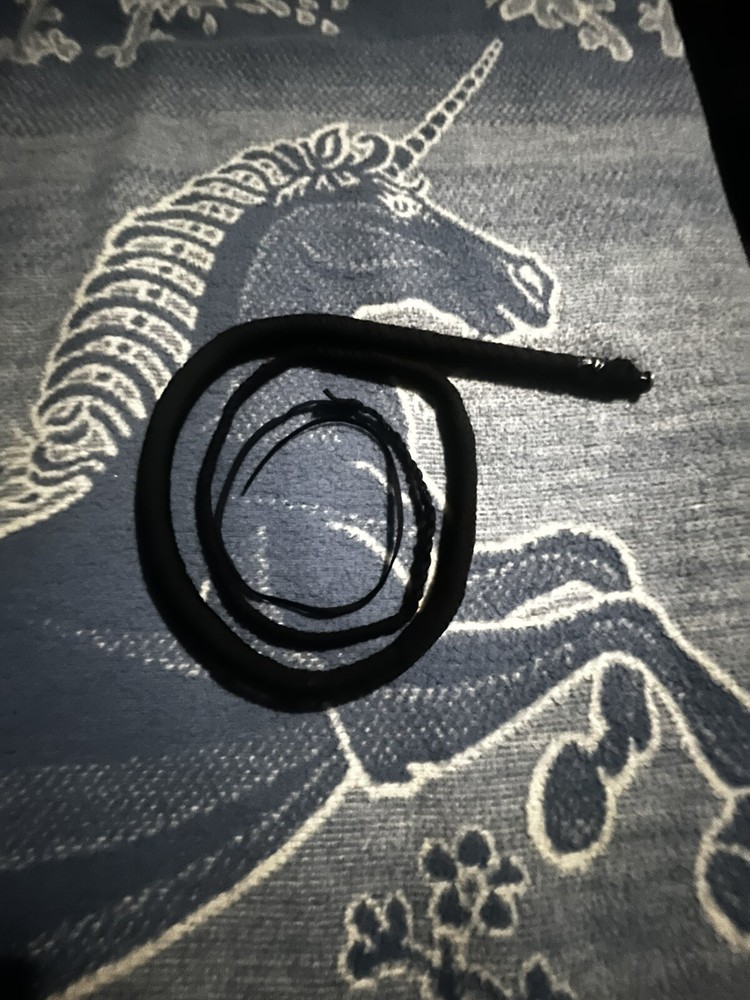 bullwhip Hand Made 8 Ft Long