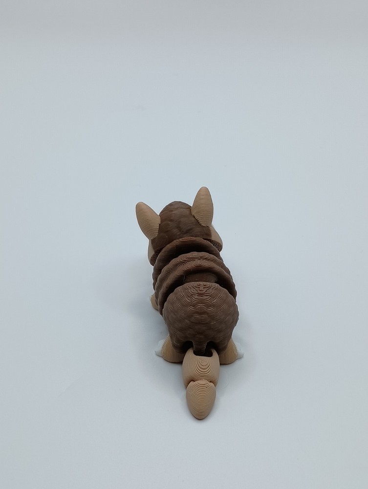 3D Printed Jiggle Pet Armadillo