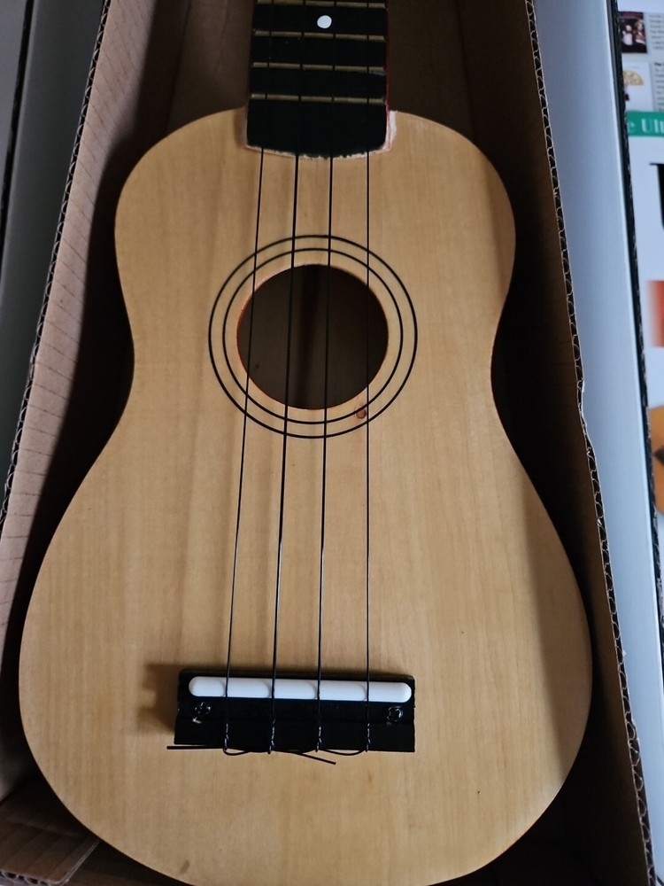 Play Today Ukulele - Complete Beginner Self Teaching Ukulele Kit Hal Leonard