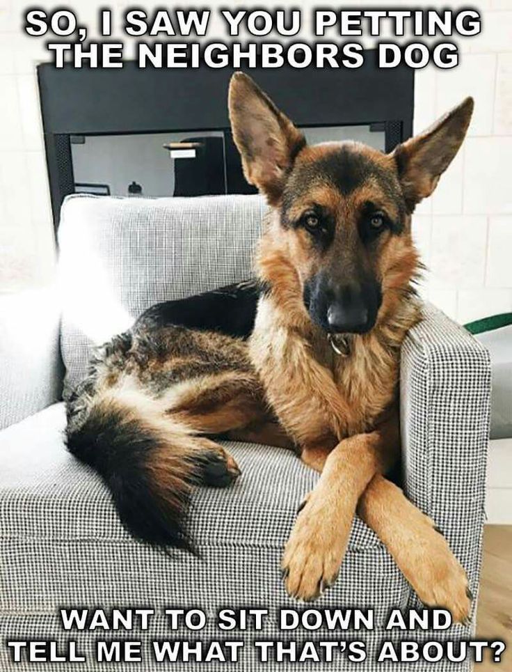 German Shepherd refrigerator magnet 3 1/2 x  4  1/2"
