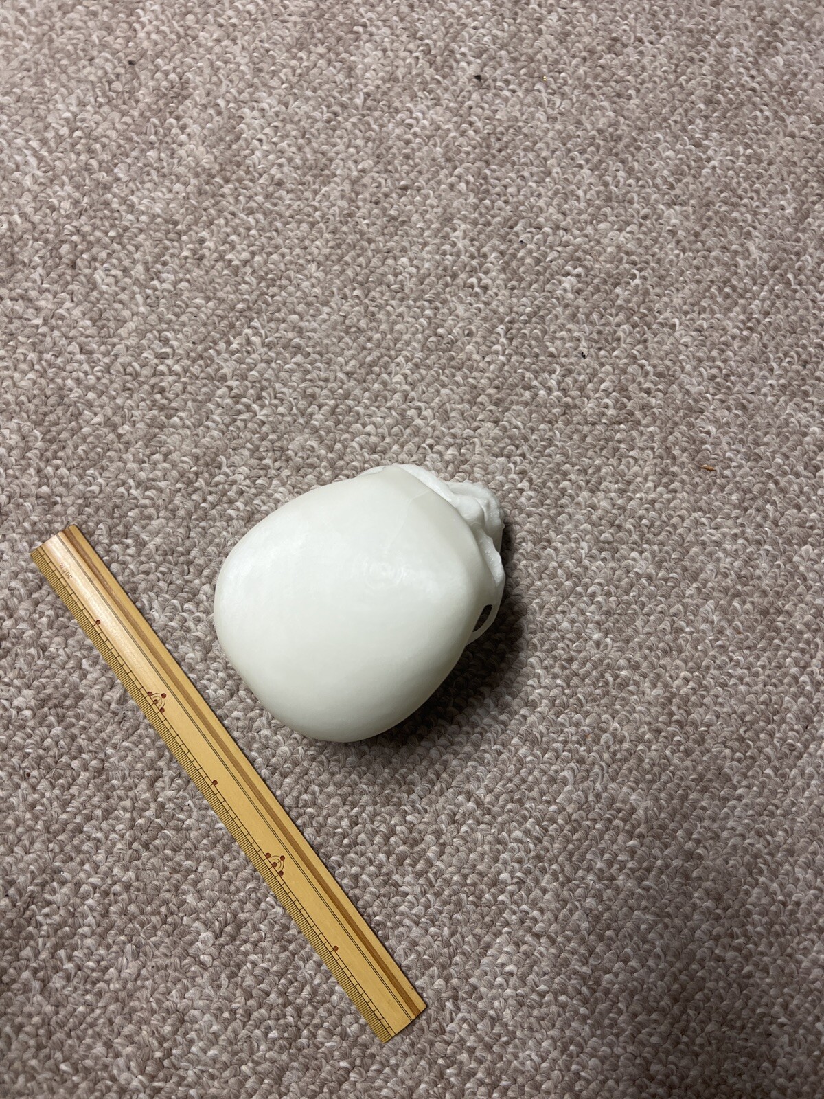 Glow In the Dark Human Skull! (Good Quality:3DP:White-PLA) GREEN OR BLUE GLOW!