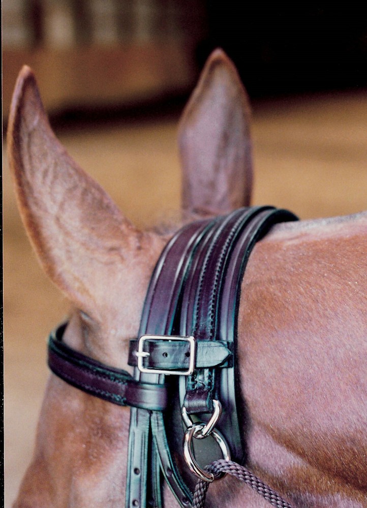 Tory Leather Chambon