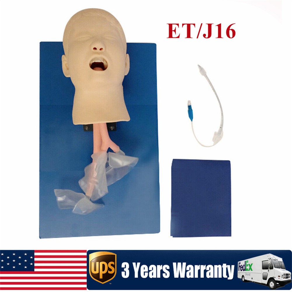 Intubation Manikin Study Teaching Training Model Airway Management Trainer Model