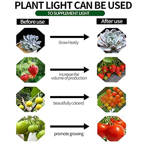 LED Grow String Lights for Indoor Plants Waterproof,Adjustable Length 6 Lights