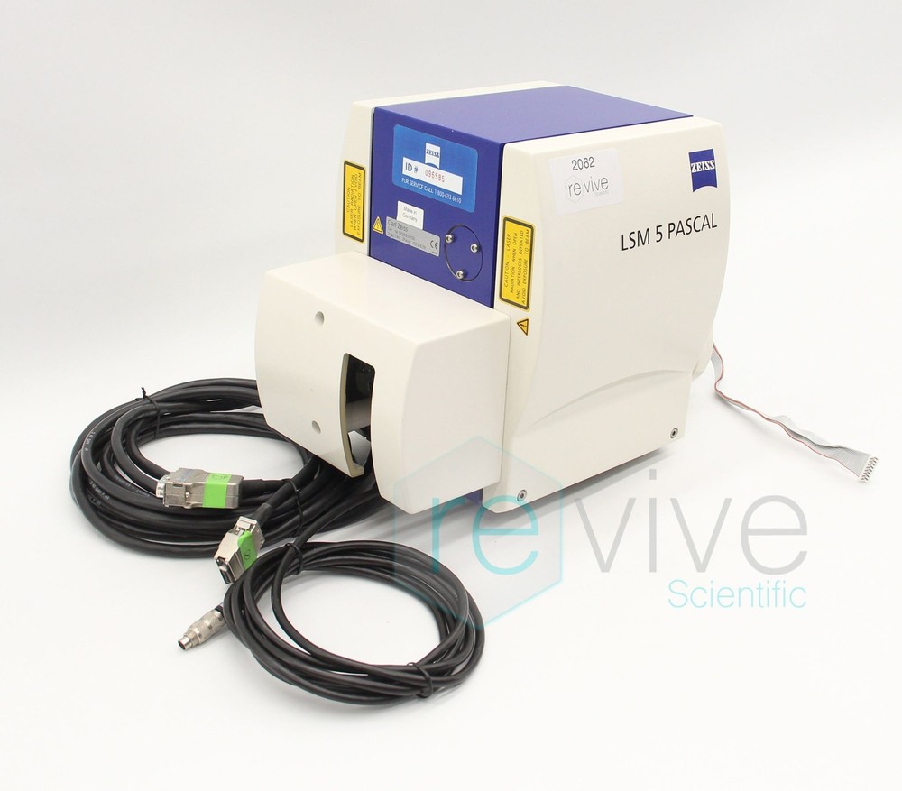 Zeiss LSM 5 PASCAL Laser Scanning Microscope
