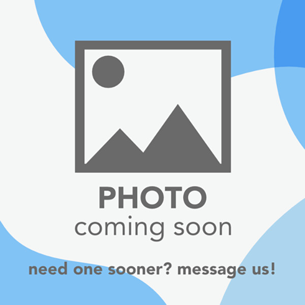 The Black Widow CD (Gabriel Allon)