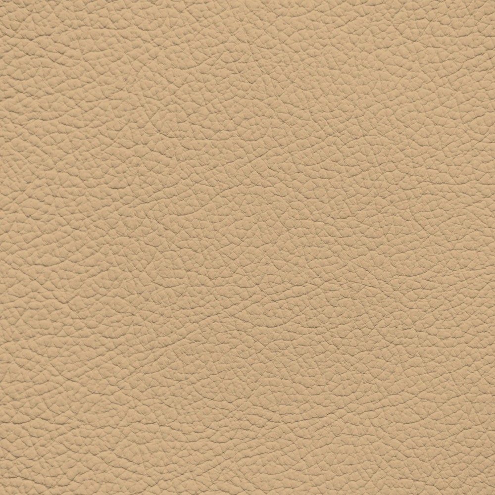 Audi Star Anise Leather Dye
