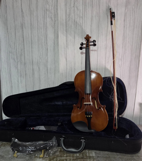 Pyle Solid Wood Violin Stringed Instrument-Student Grade Violin w/ Accessory Kit