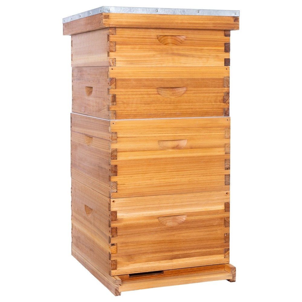 8 Frame Langstroth Bee Hive Coated with Beeswax Includes Beehive Frames