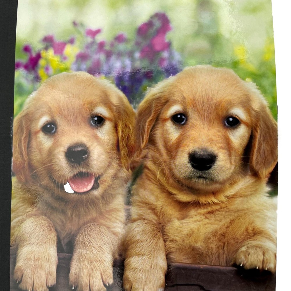 Back to School Composition Notebook Golden Labrador Puppies