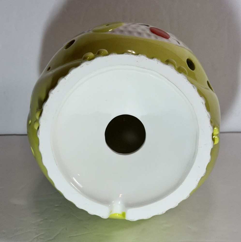 Frog Nightlight Infant/Child