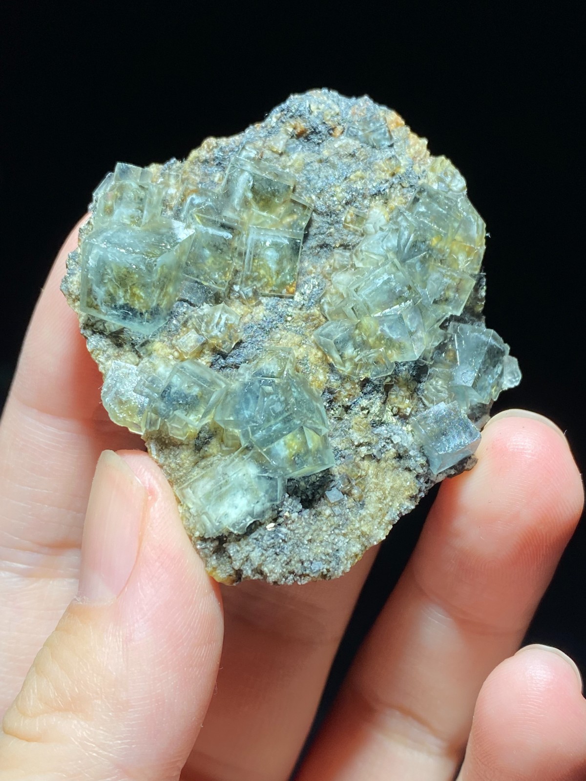 Rare Natural White Window Light Green Cubic Fluorite & Pyrite Specimen, China