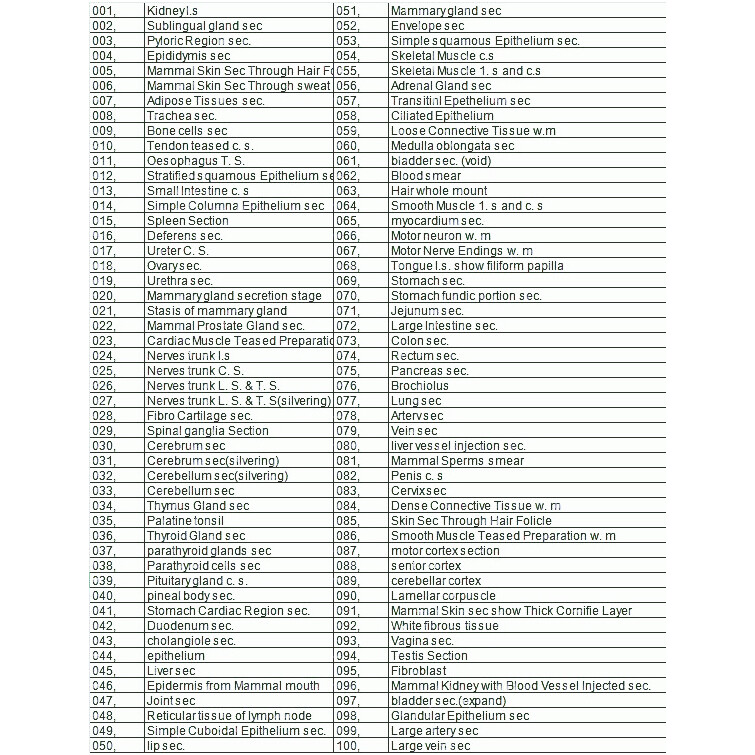 100PCS New Mammal Tissue Sections Histology Prepared Specimen Microscope Slides