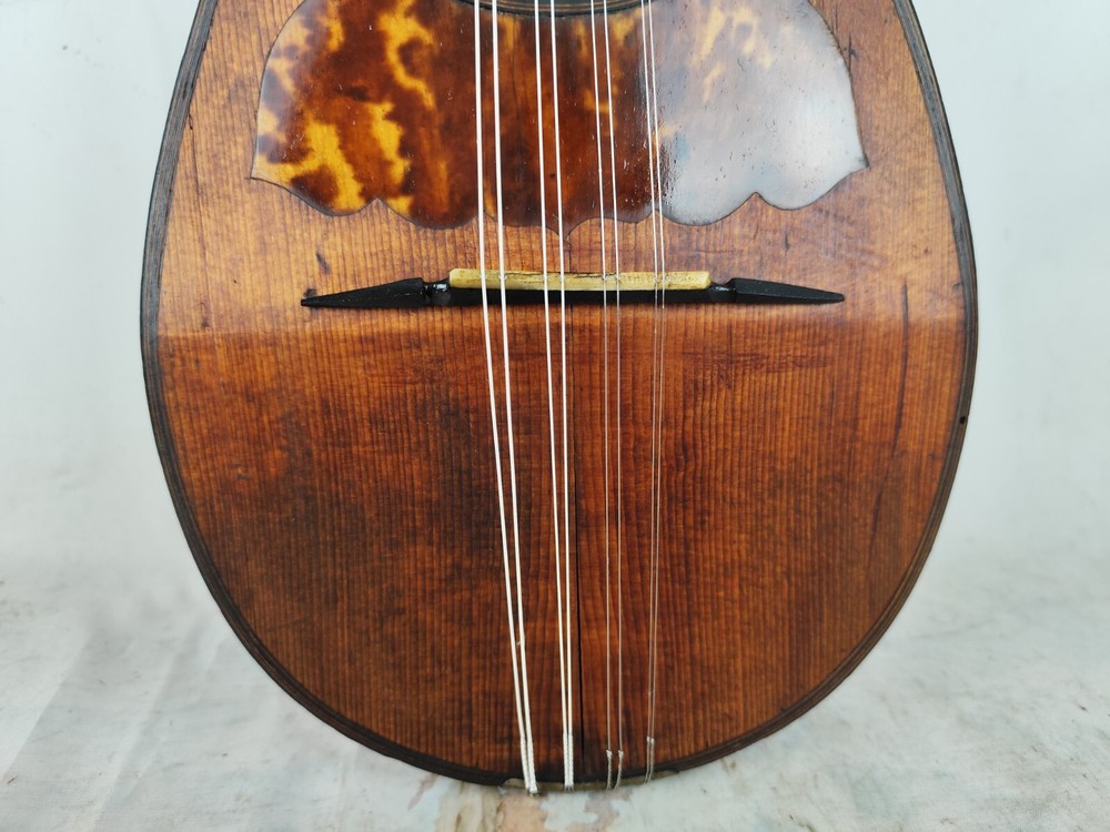 Mandolin 4/4 Michele Maratea (1894) Naples 曼陀林 만돌린マンドリン