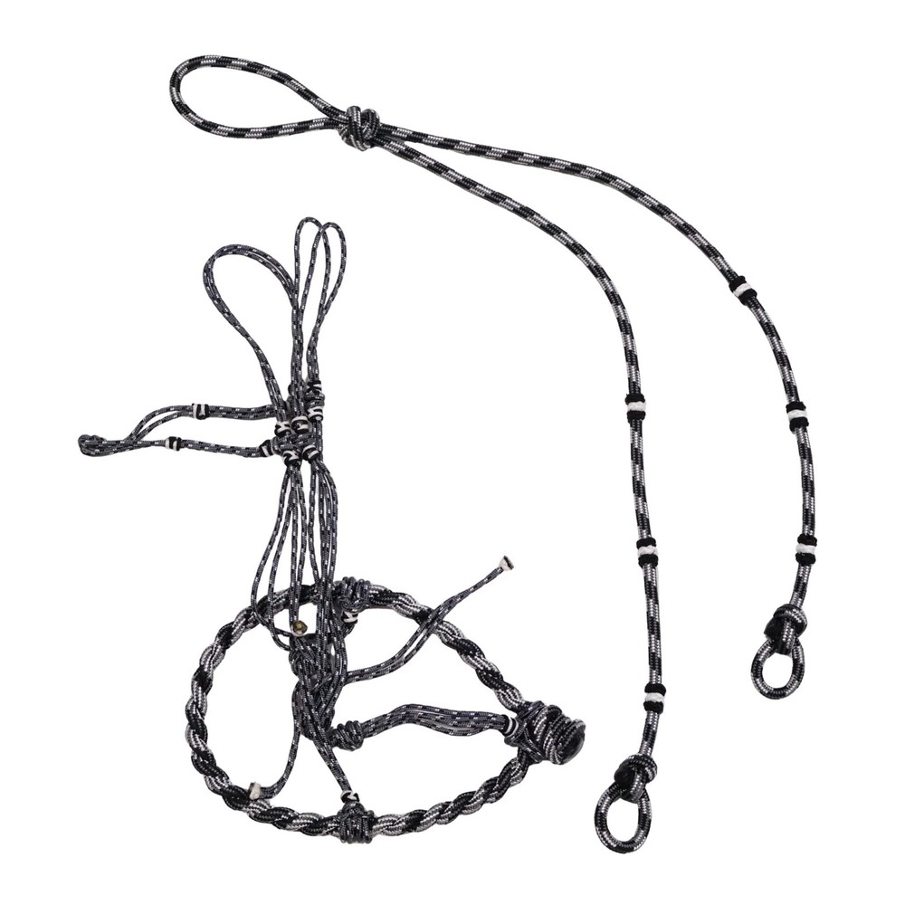 Charro Gris Caballo Halter Bosal/Rienda Set