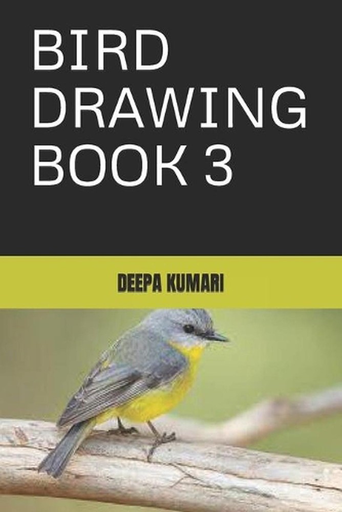 Bird Drawing Book 3