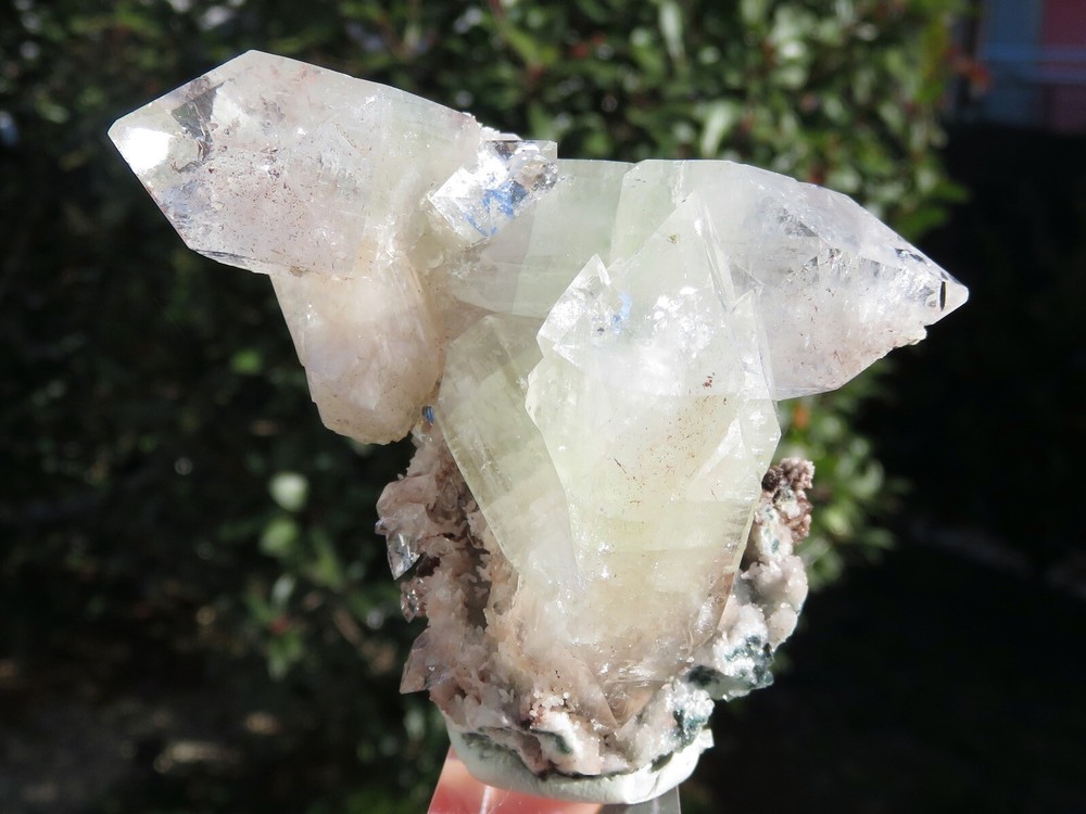 Apophyllite Crystals On Matrix India