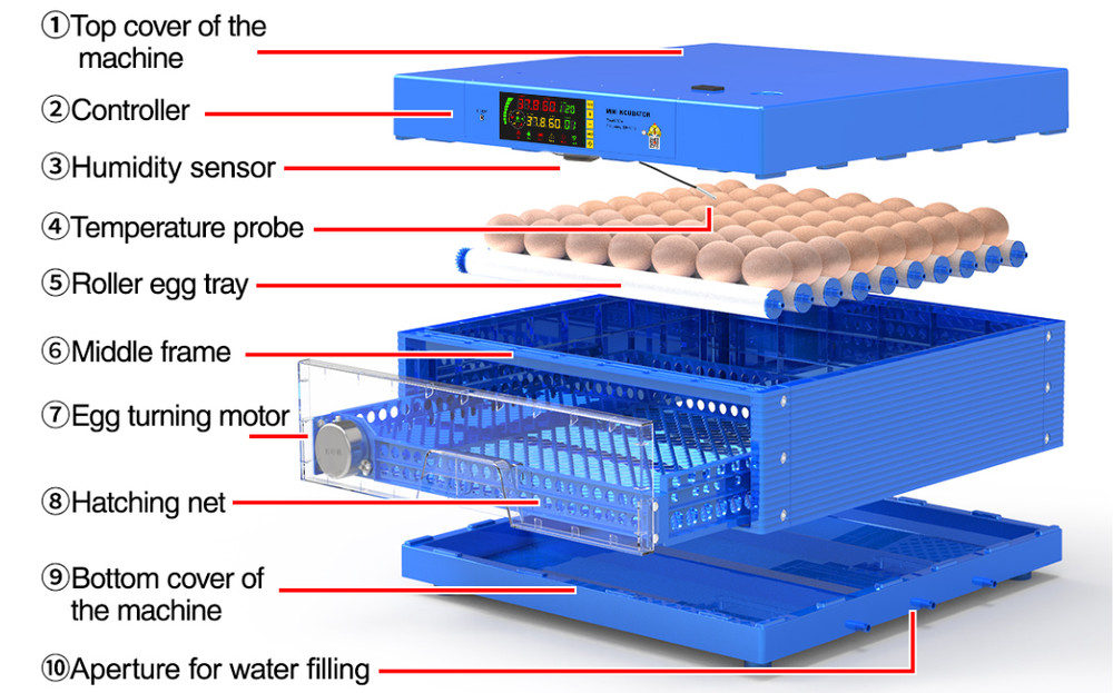 64 Eggs Automatic Egg Bird Incubator Poultry Hatcher Breeder Digital Display